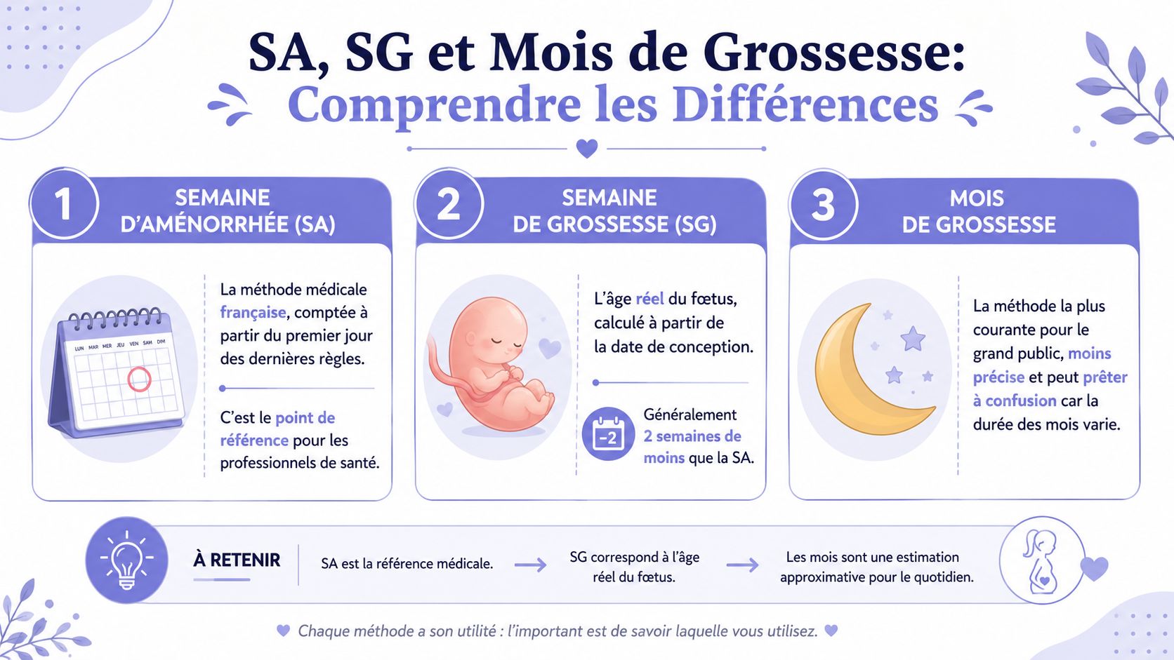 Infographie illustrant les différences entre les semaines d'aménorrhée, les semaines de grossesse et les mois de grossesse.