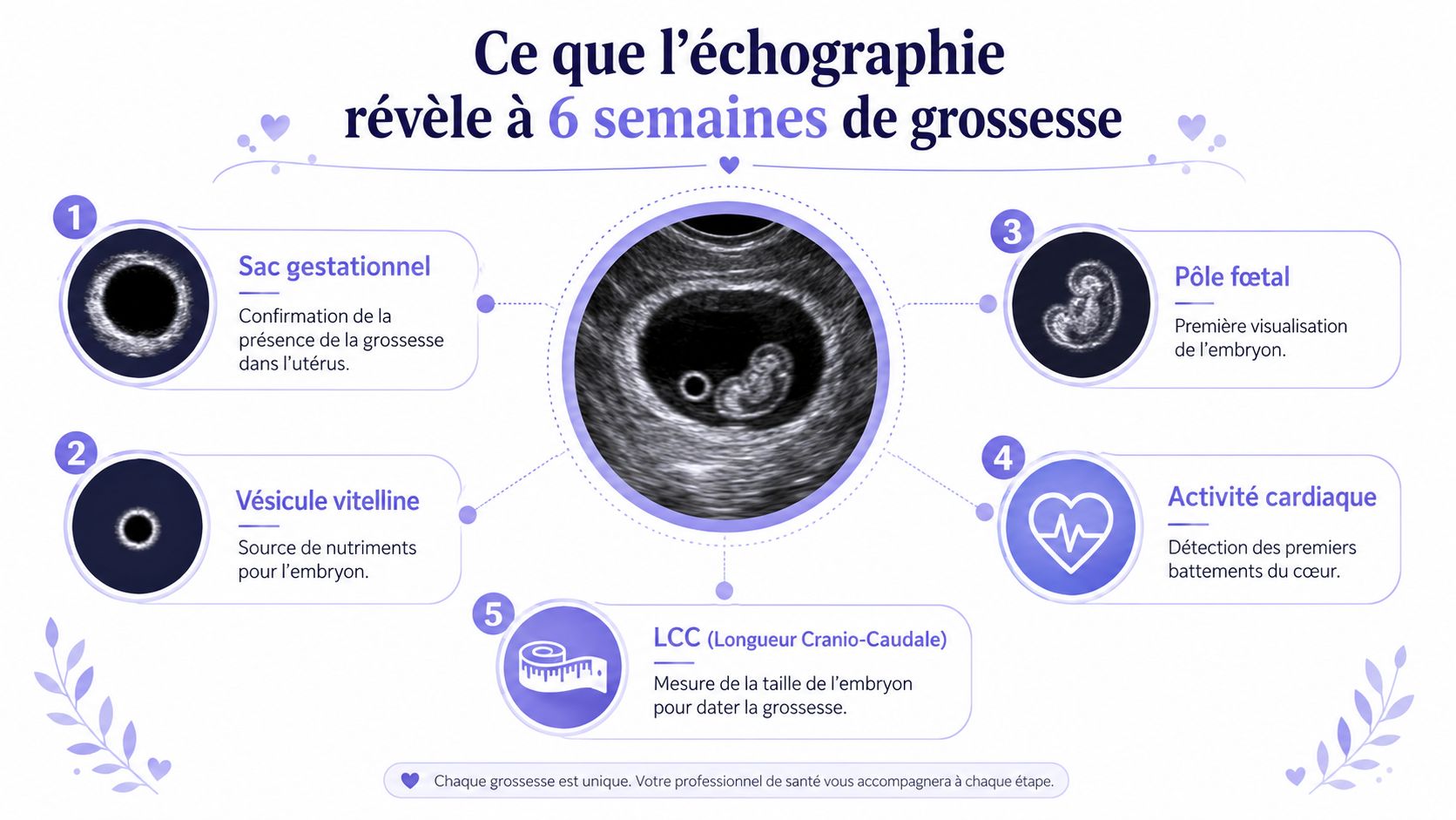 Infographie montrant les cinq éléments principaux observés lors d'une échographie à six semaines de grossesse.