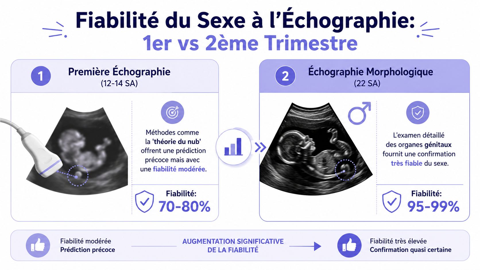 Infographie comparant la fiabilité de la détermination du sexe fœtal au premier et au deuxième trimestre.