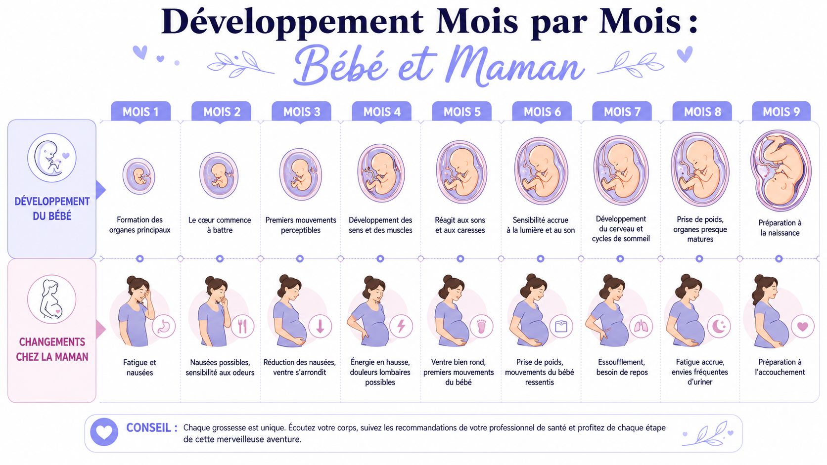 Infographie montrant les étapes du développement du bébé et les changements chez la maman mois par mois.