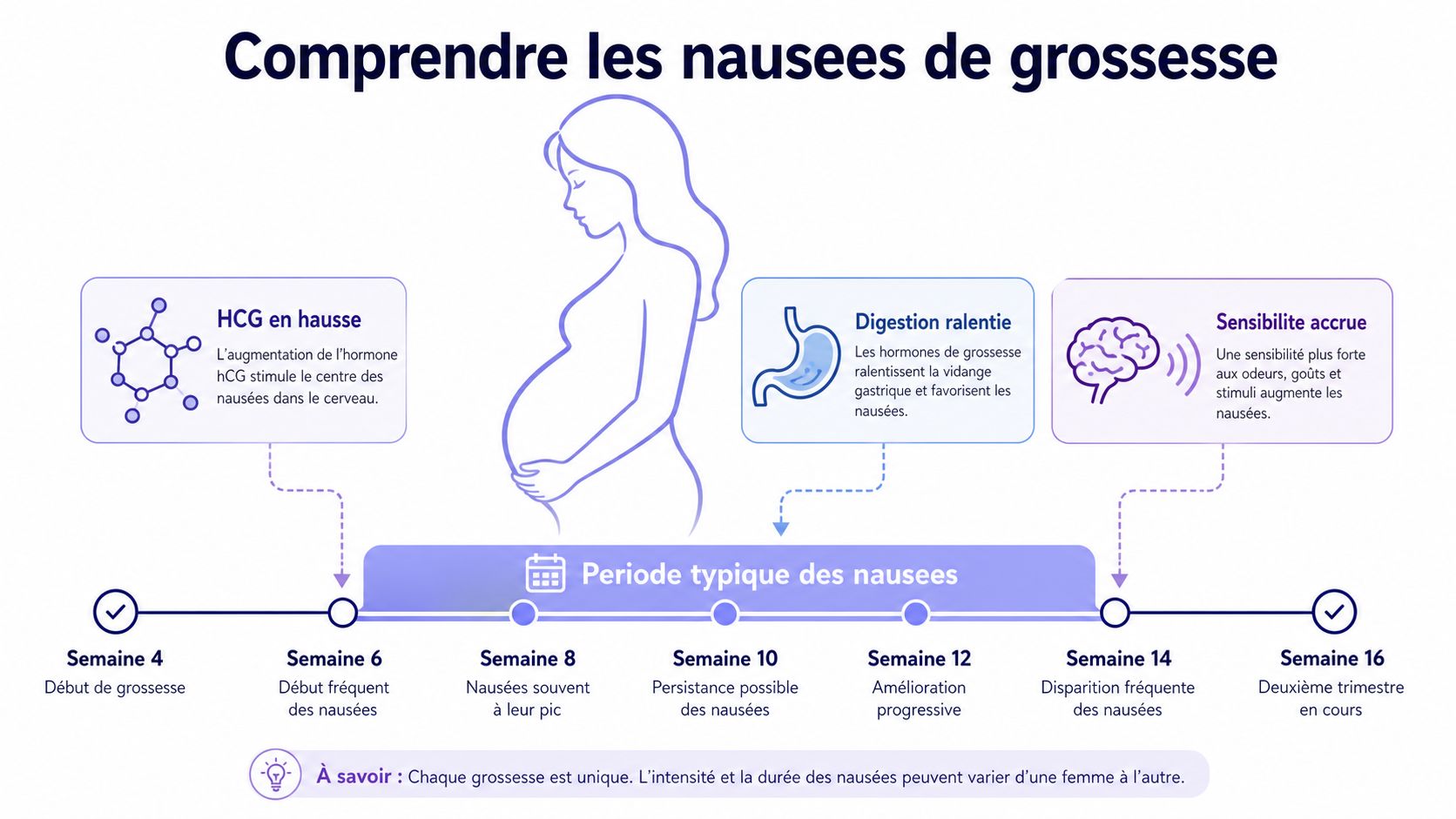 Infographie expliquant les causes des nausées de grossesse et leur évolution chronologique durant le premier trimestre.